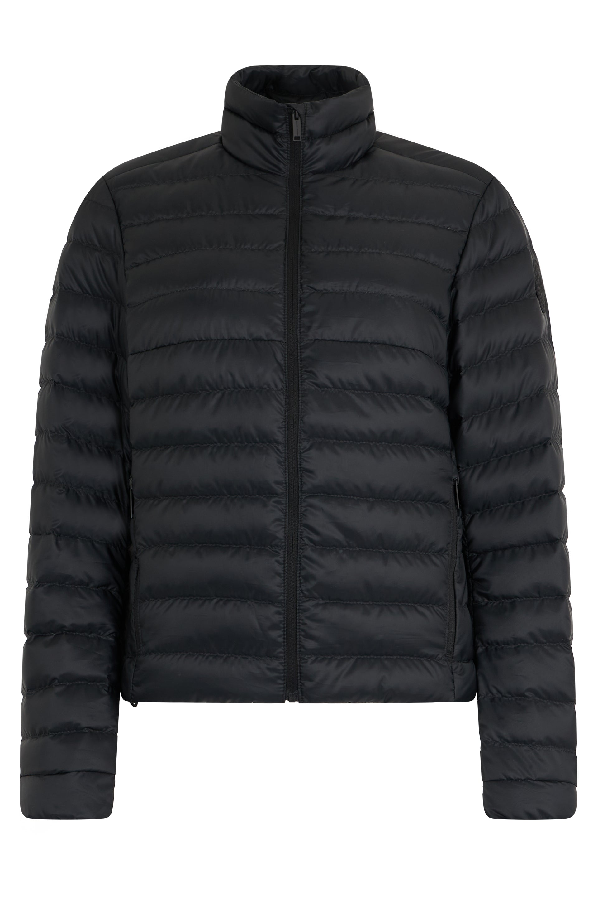Modern Padded Jacket for Women