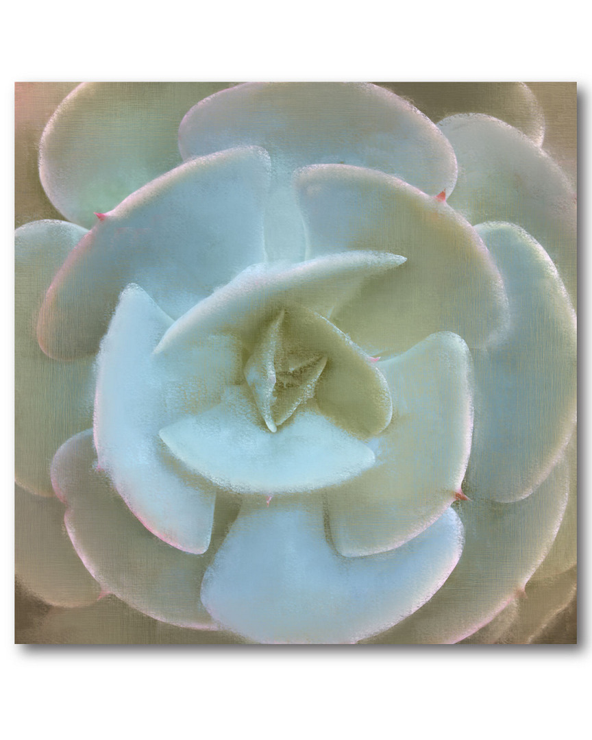 Wall Decor Succulent II Canvas Wall Art