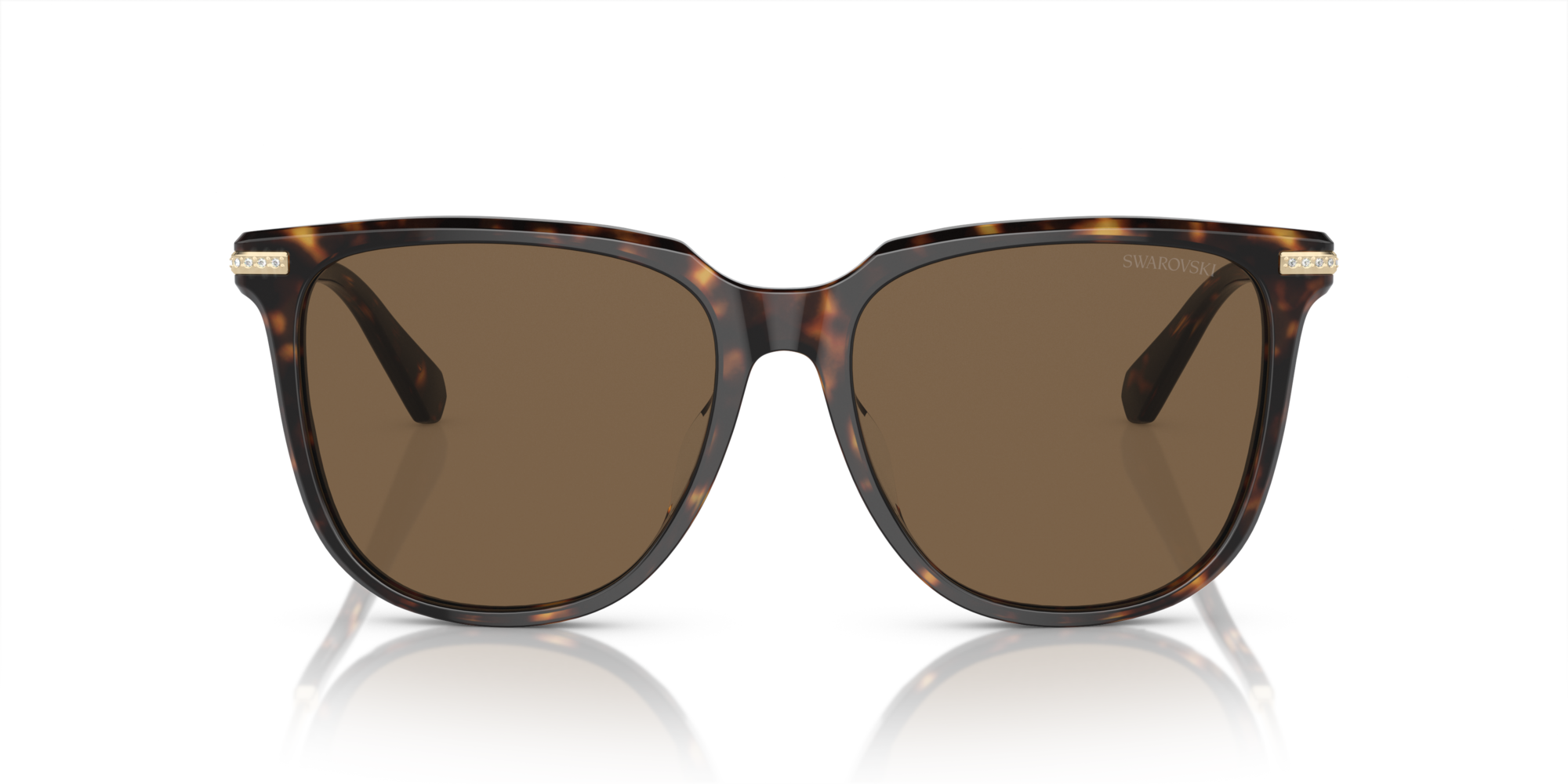 Swarovski Woman Swarovski SK6015D 100273 Sunglasses Acetate Brown Brown Squared Norma