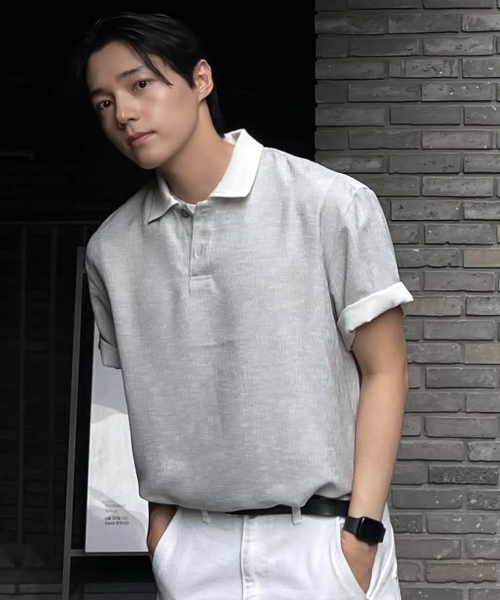 Collar Point Pullover Gray Oversized Short Sleeve Shirt