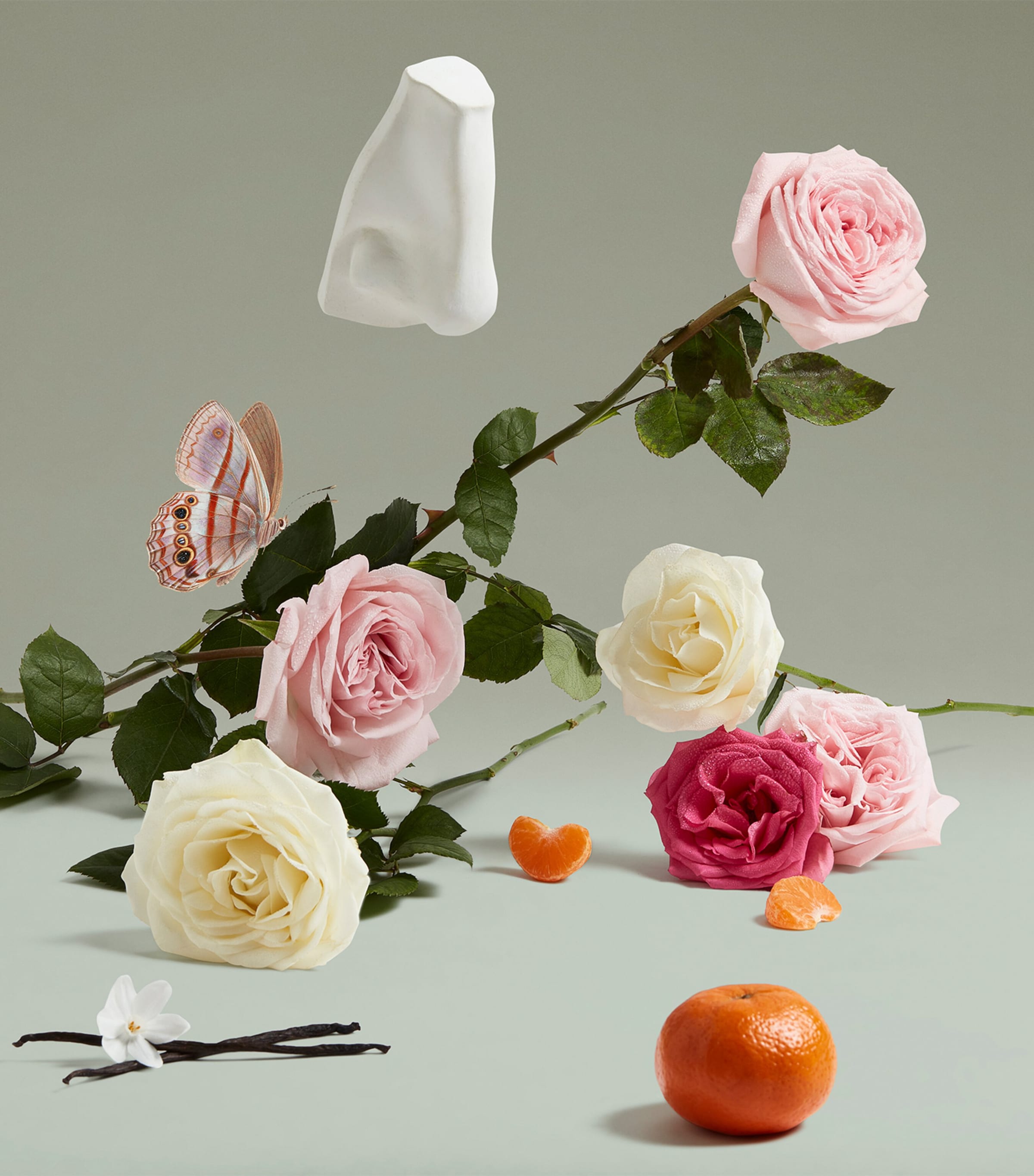 The Coveted Duchess Rose Eau de Parfum