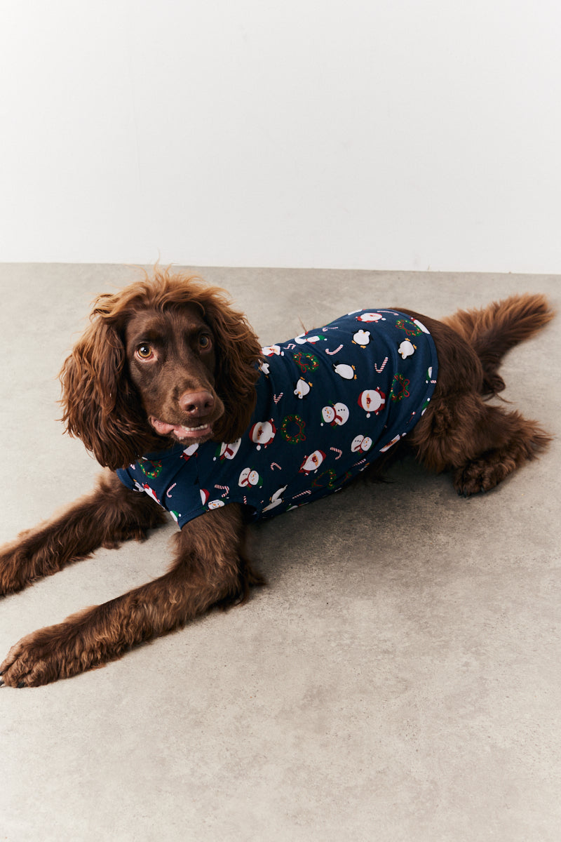 Dog Festive Print Pyjama
