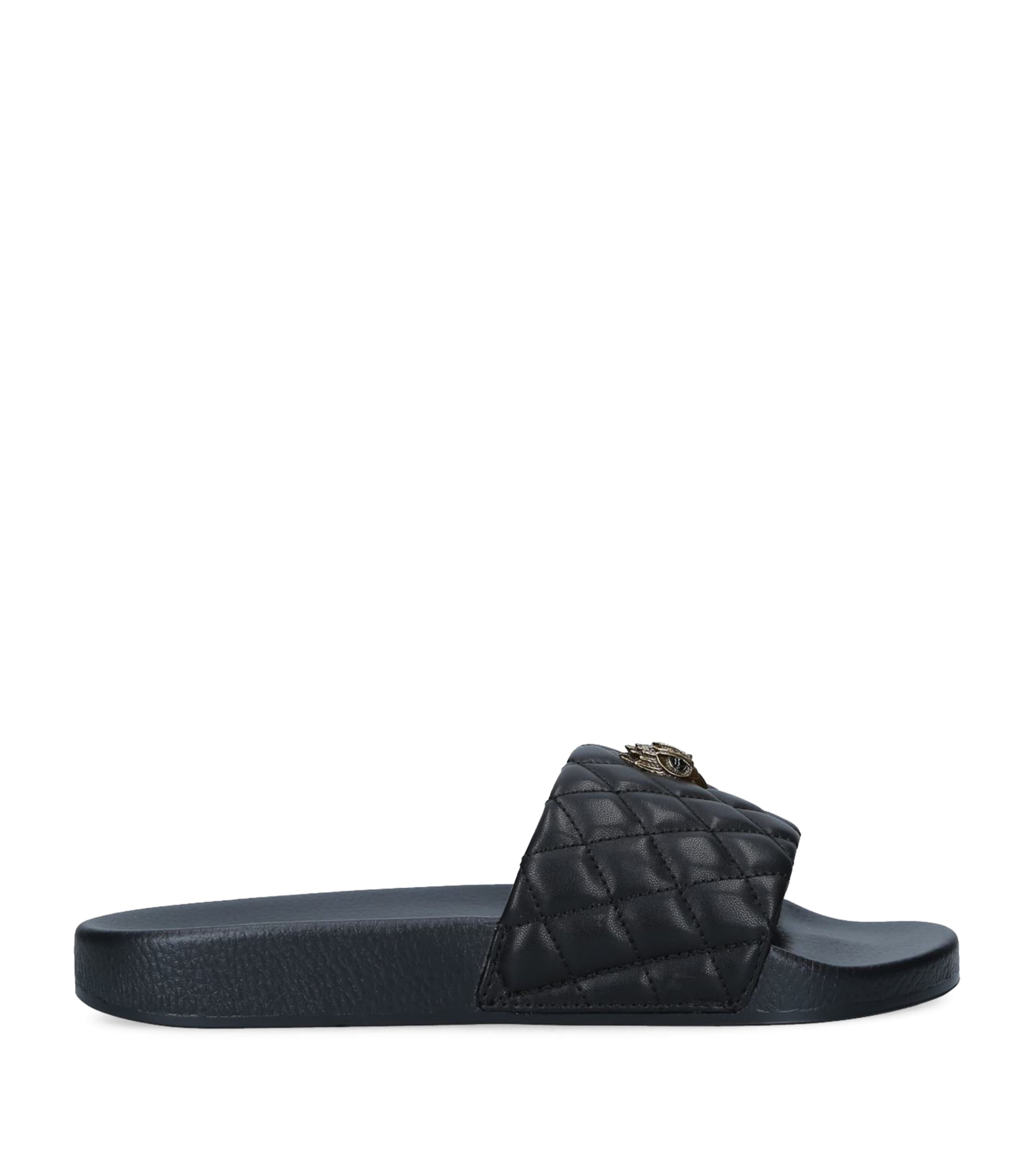 Meena Eagle Slides