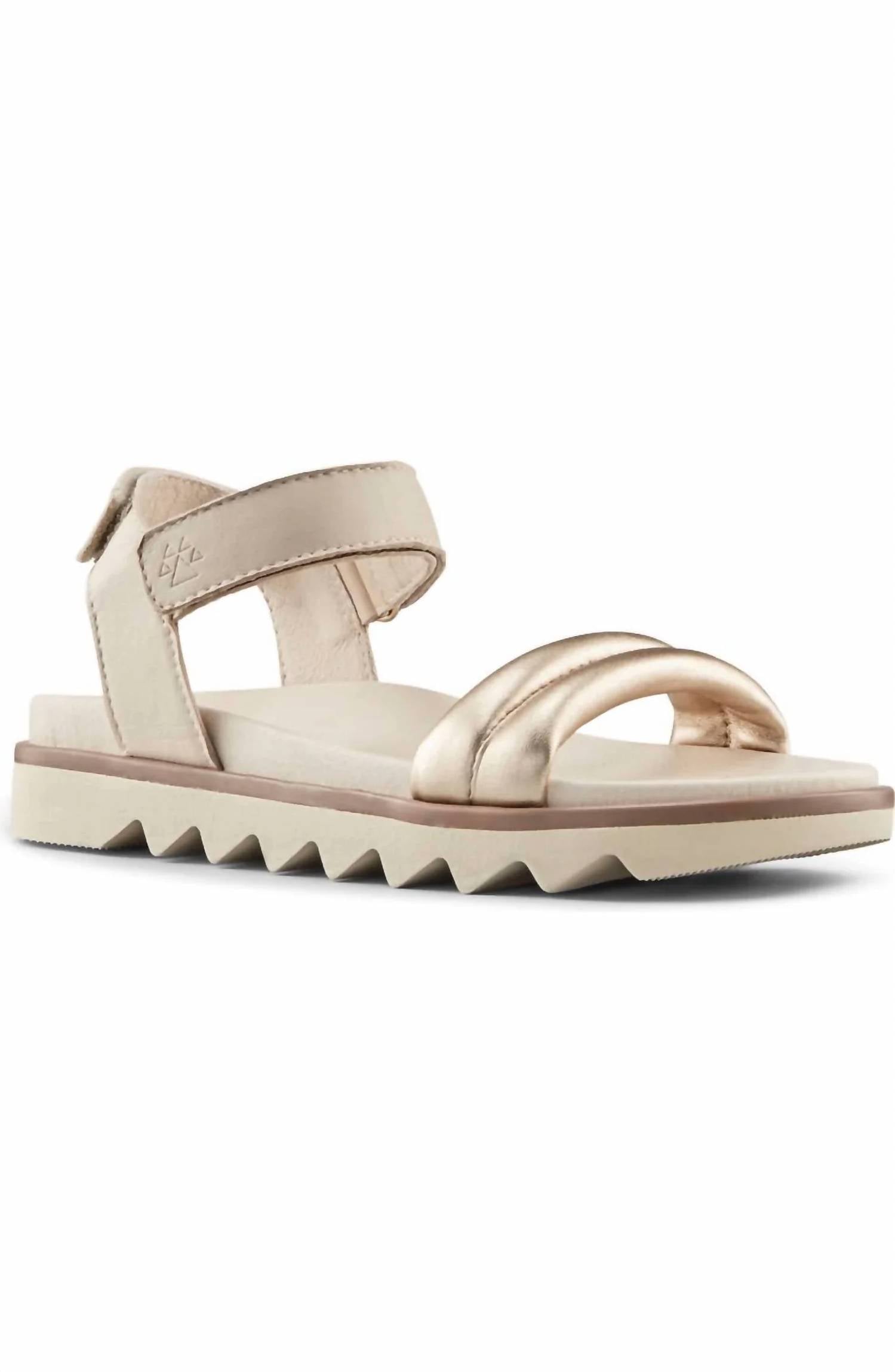 Women's Nolo Sandals In Platino-Oyster