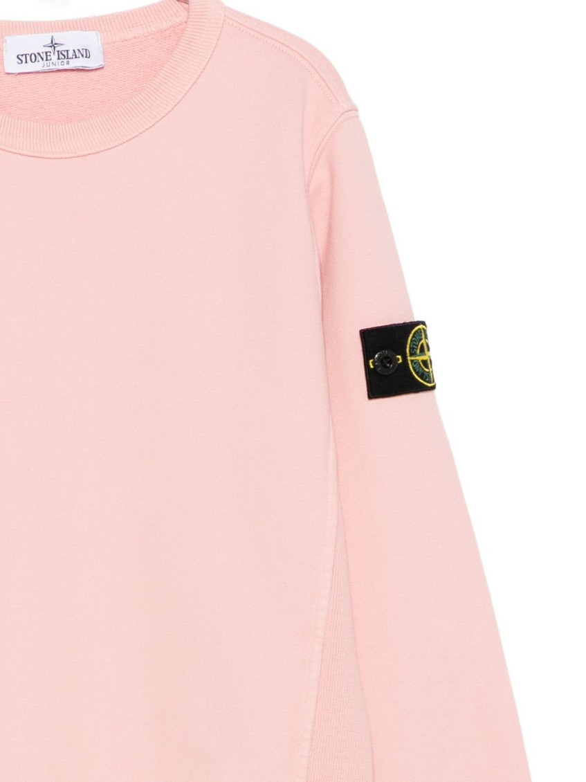 Boys Pink Crew Neck Sweatshirt