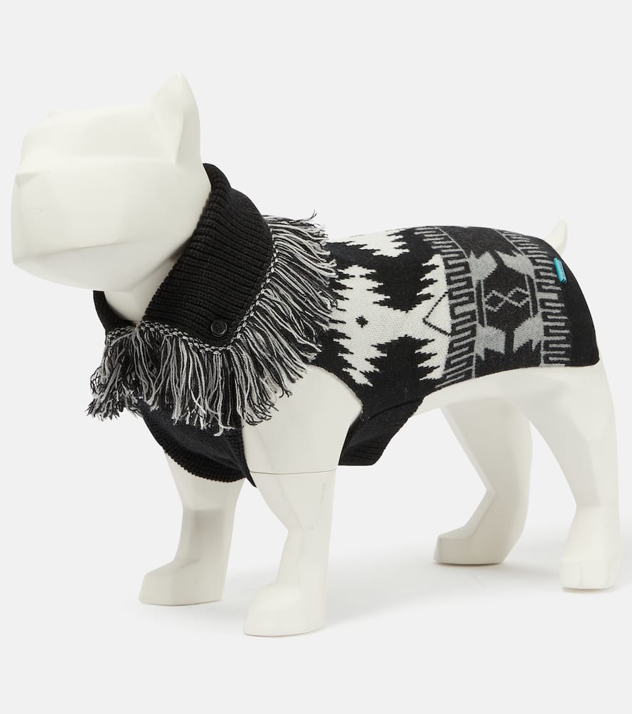X Poldo Dog Couture Icon dog sweater