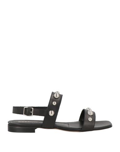 Woman Sandals Black Size 6 Leather