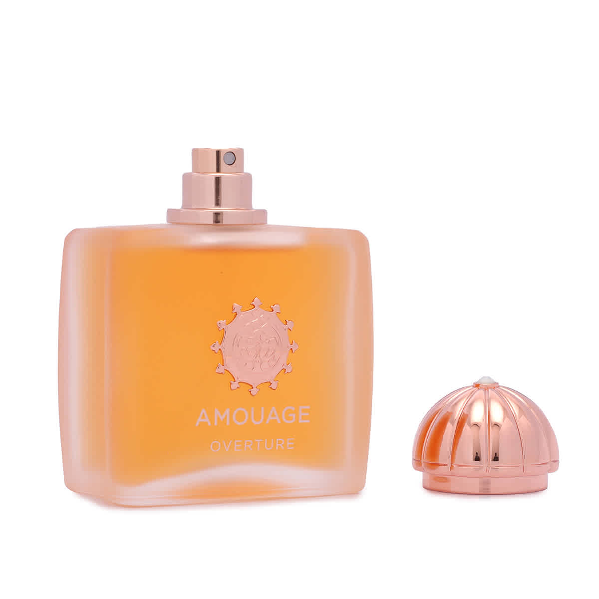 Ladies Overture EDP 3.4 oz Fragrances 701666410294