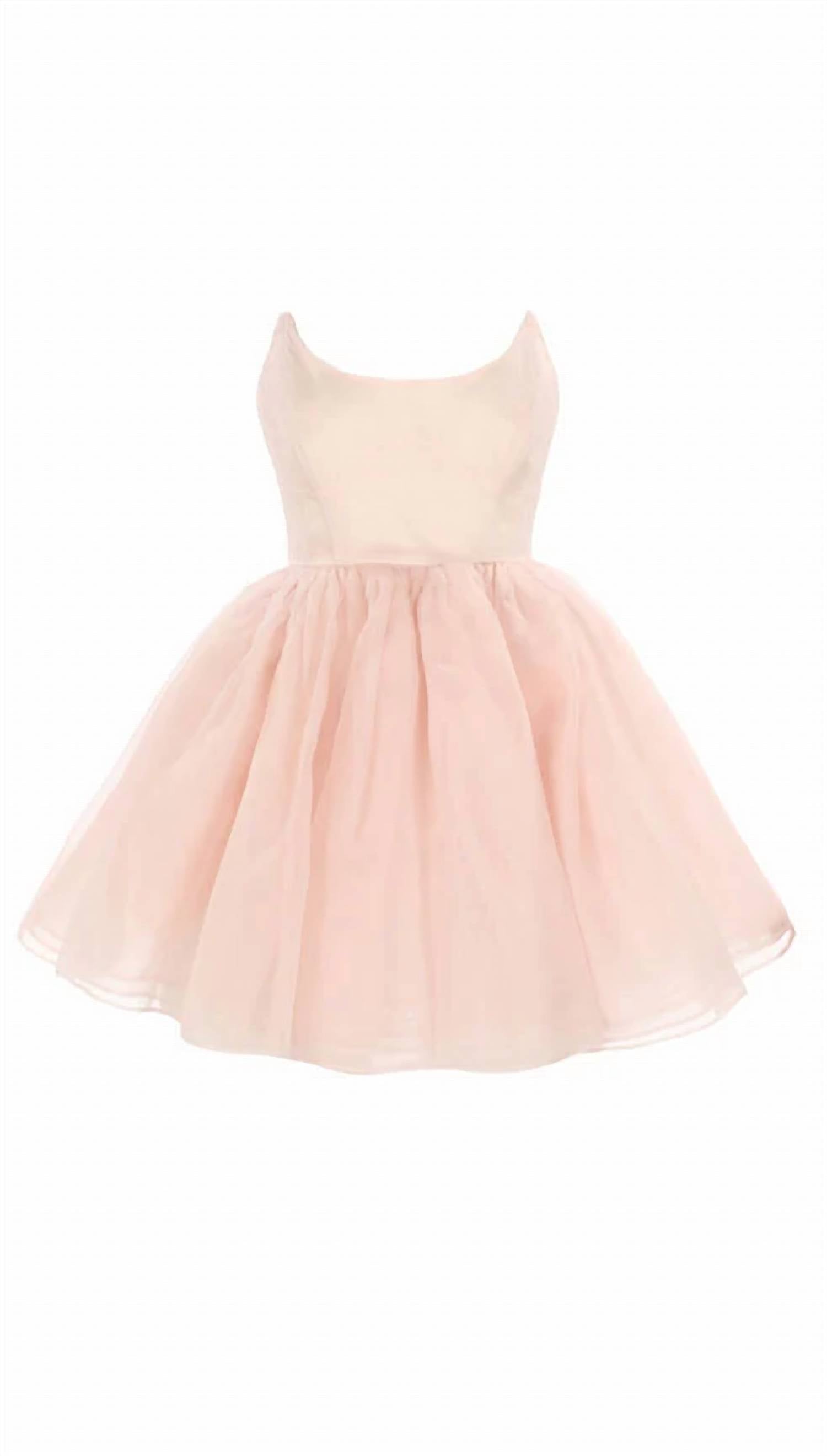 Women's Veuve Dress In Blush