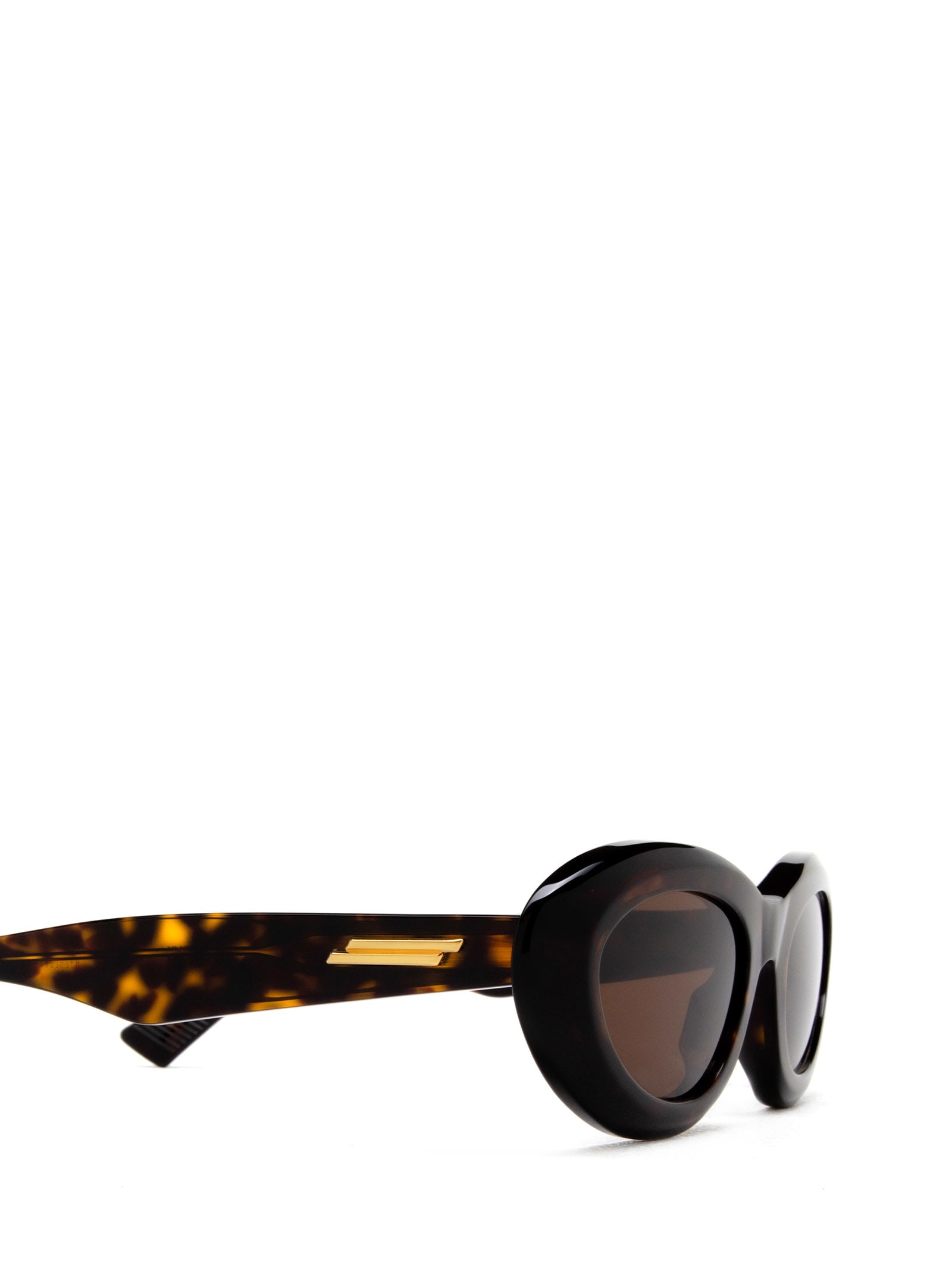 Bv1191s Havana Sunglasses