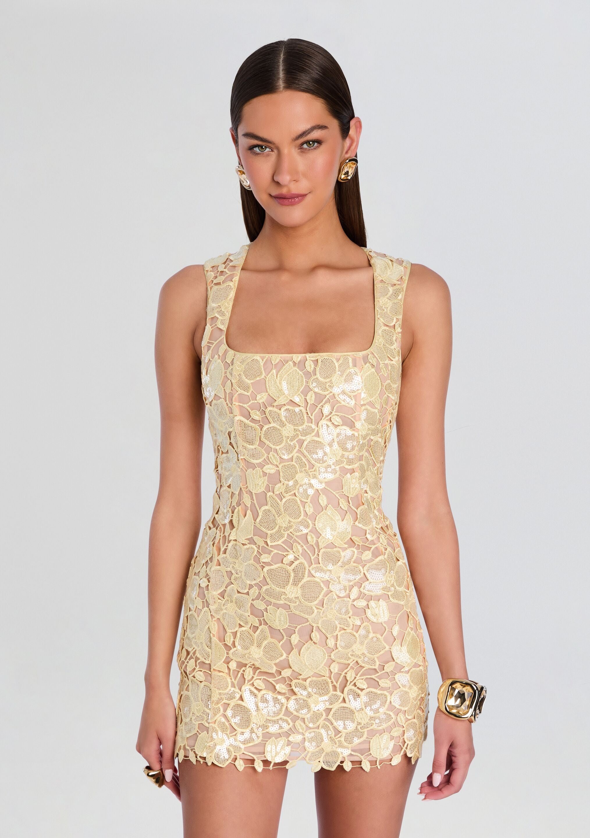 Elainy Sequin Lace Dress