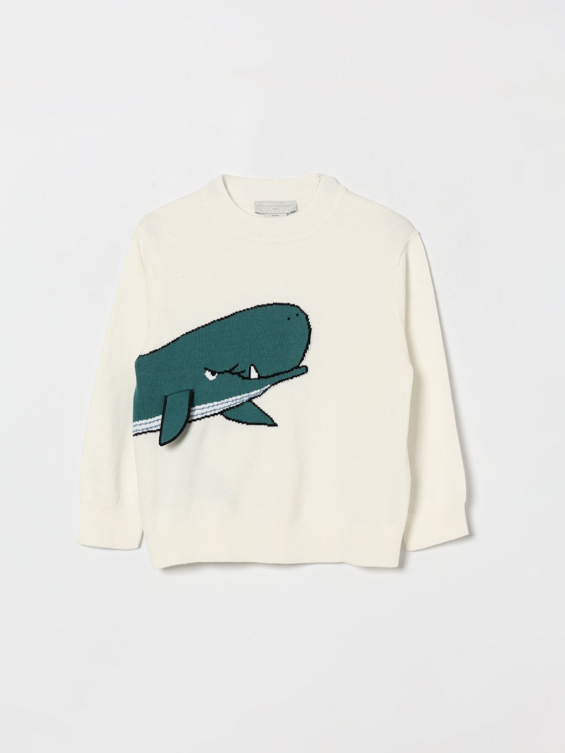 Sweater Kids color White