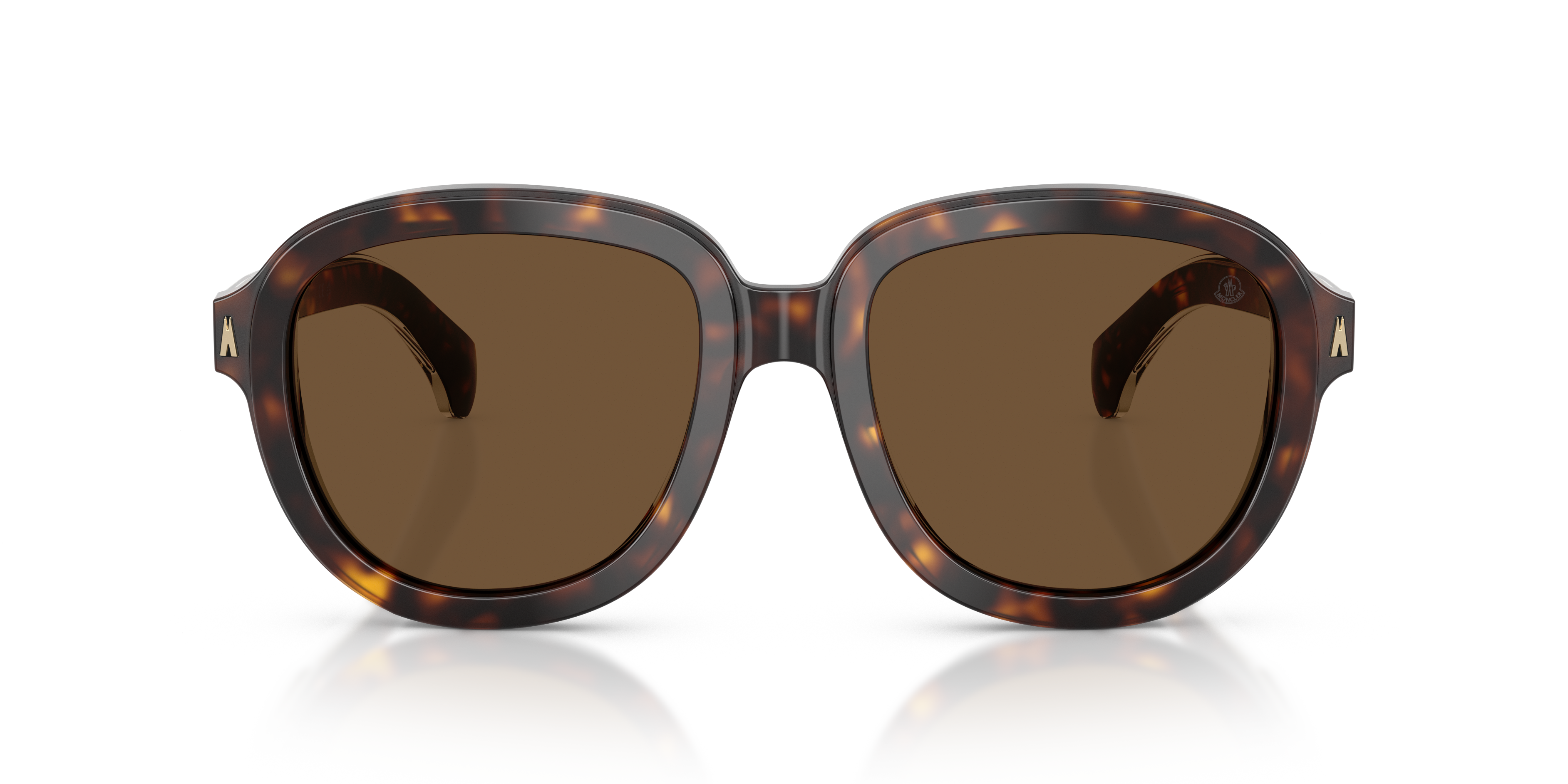Moncler Unisex Moncler ME6007U CIRSEE 300273 Sunglasses Acetate Turtle Brown Pilot Norma