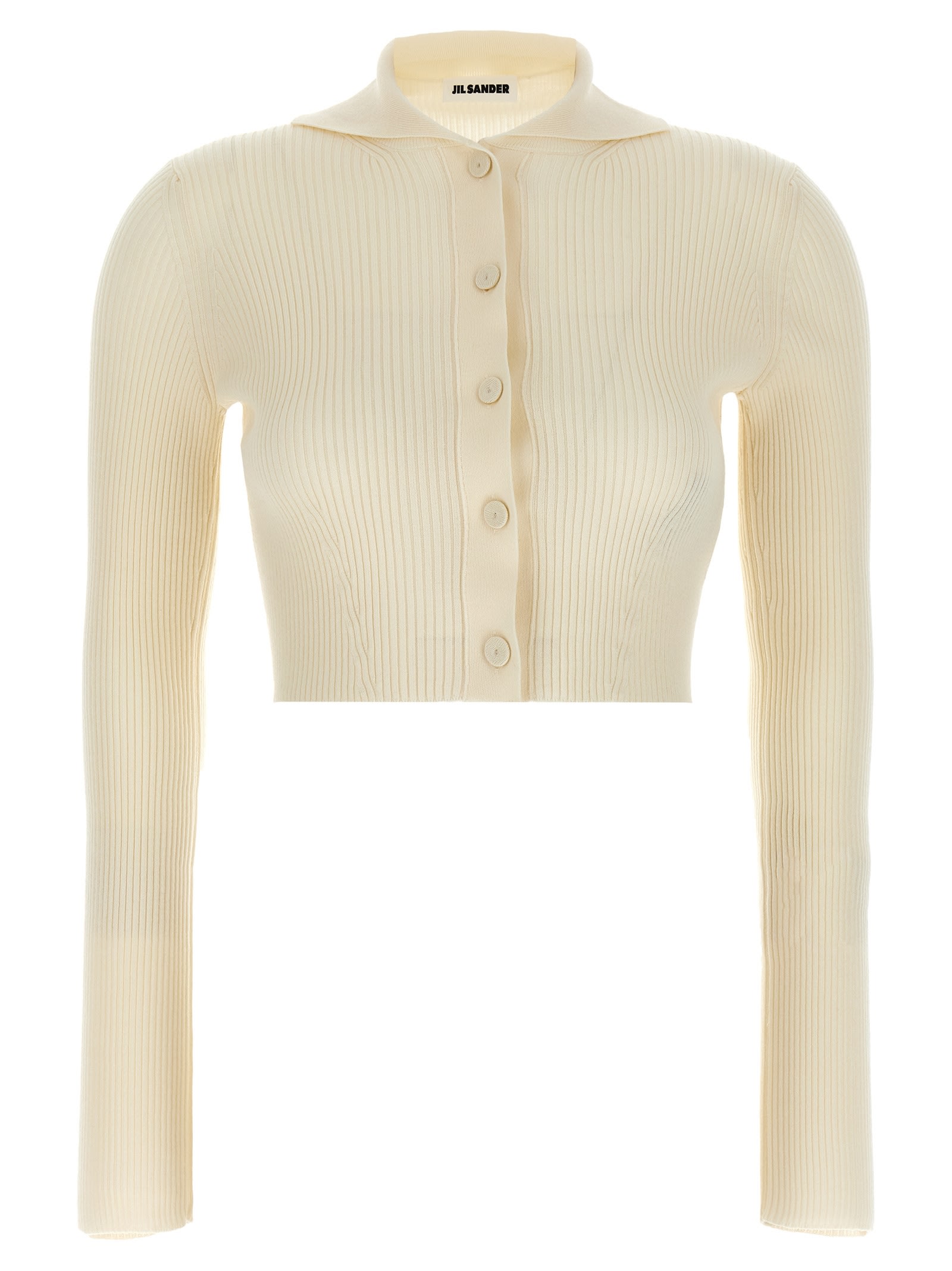 Ribbed Cardigan Sweater, Cardigans
