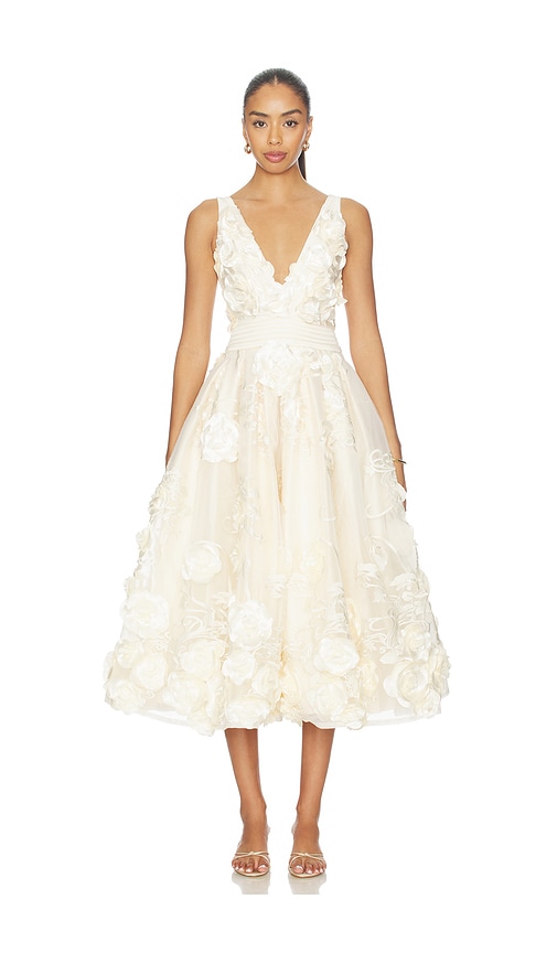 Zhivago Odetie Dress in Nude. - 6 also , 8