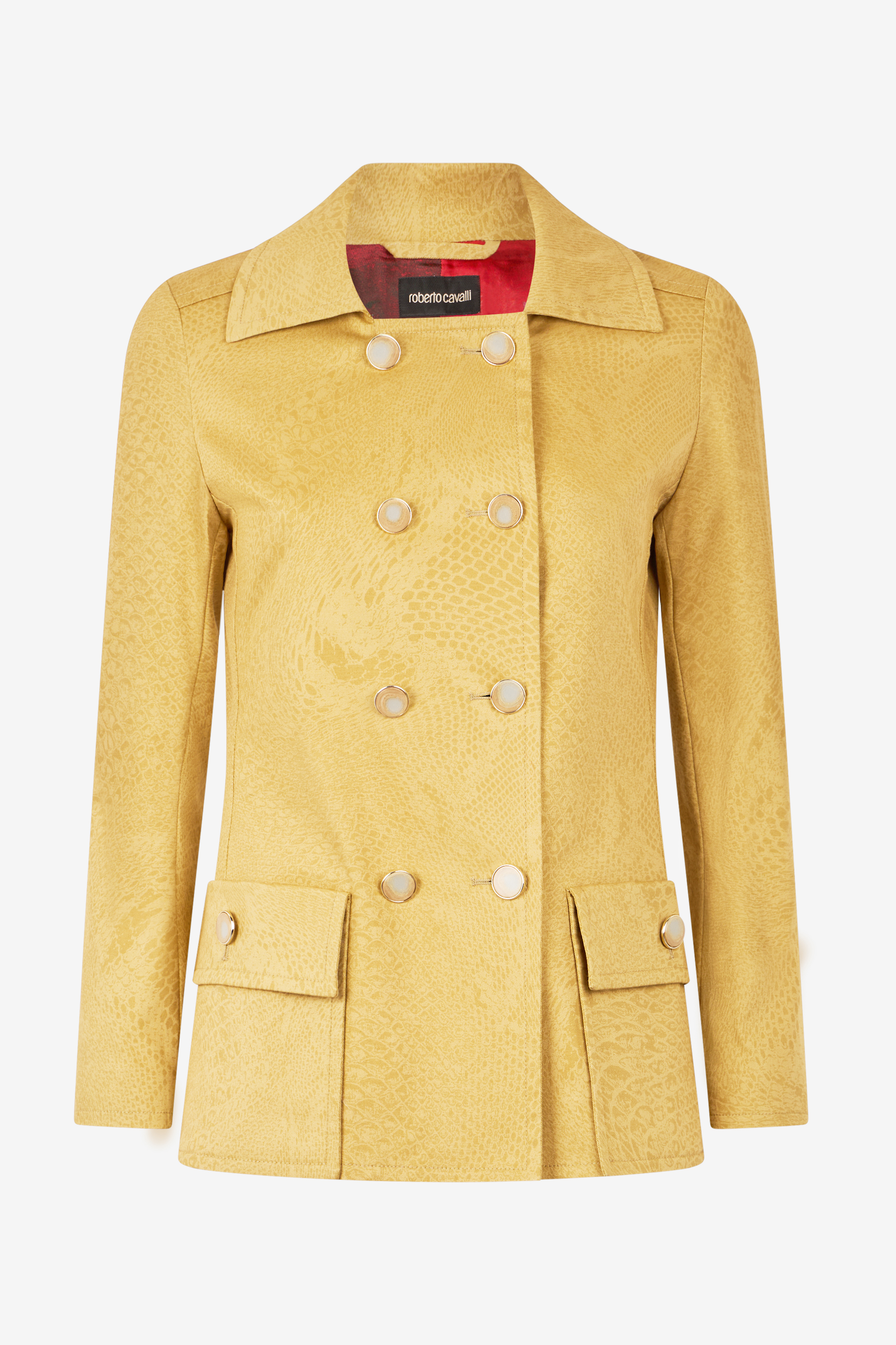 Double-breasted Jacket With Python Pattern