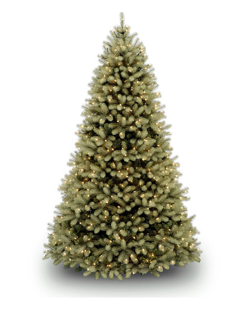 National Tree Company Douglas Fir Tree with Lights