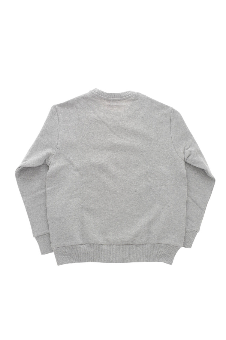 Kids Grey Graphic Sweatshirts