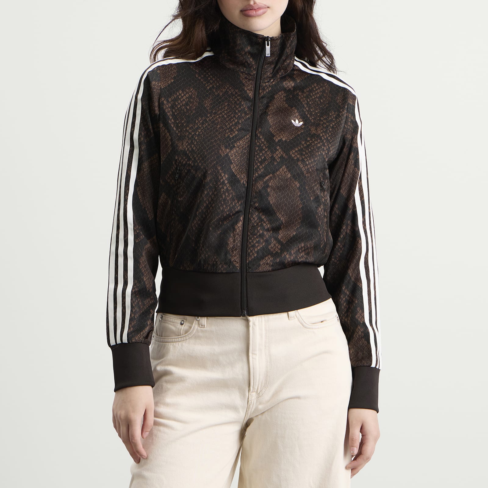 Women's Satin Firebird Track Top Earth Strata/Aurora Coffee
