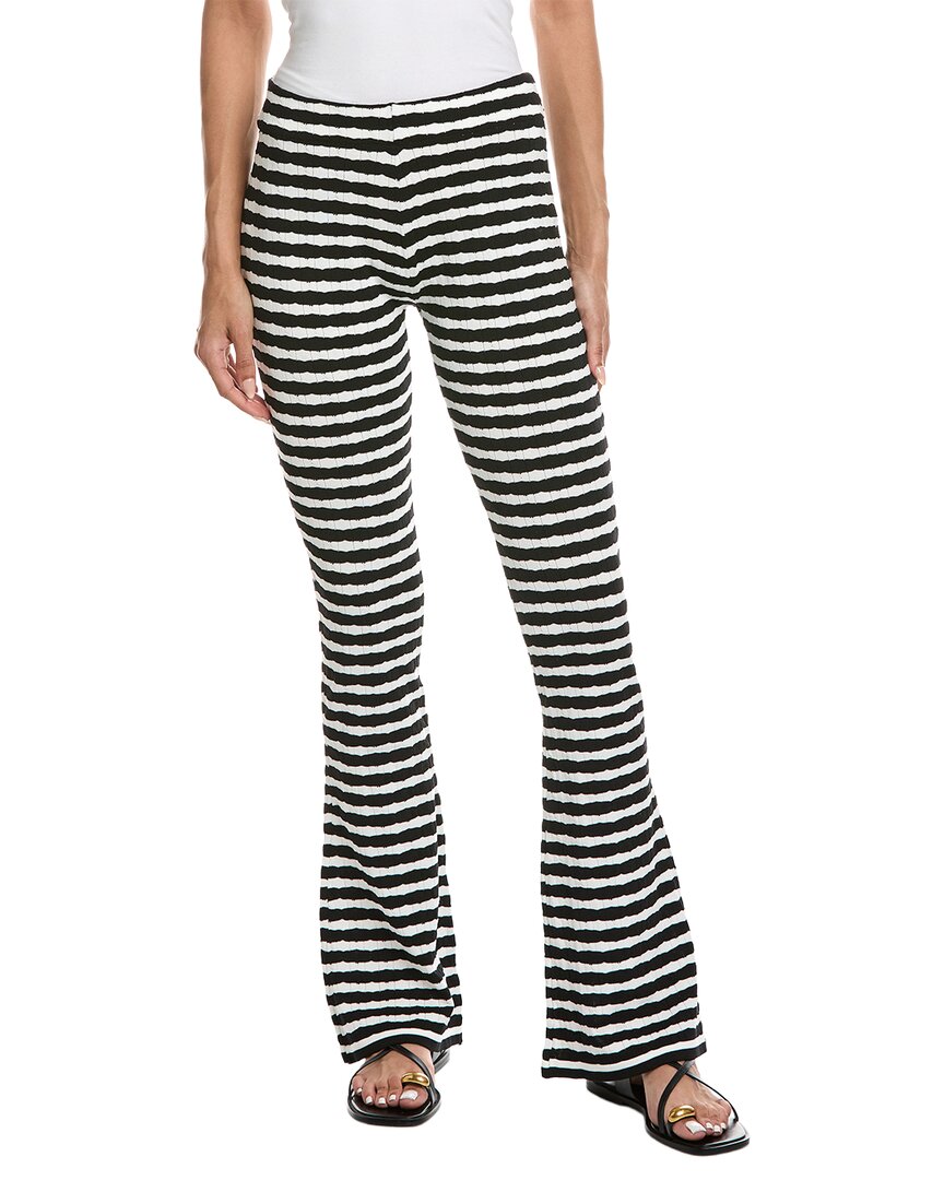 Pant