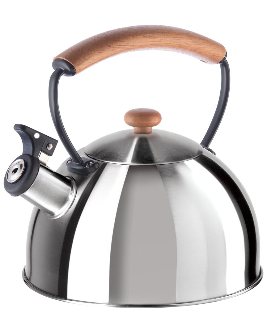 Stainless Steel 1.9L Whistling Tea Kettle