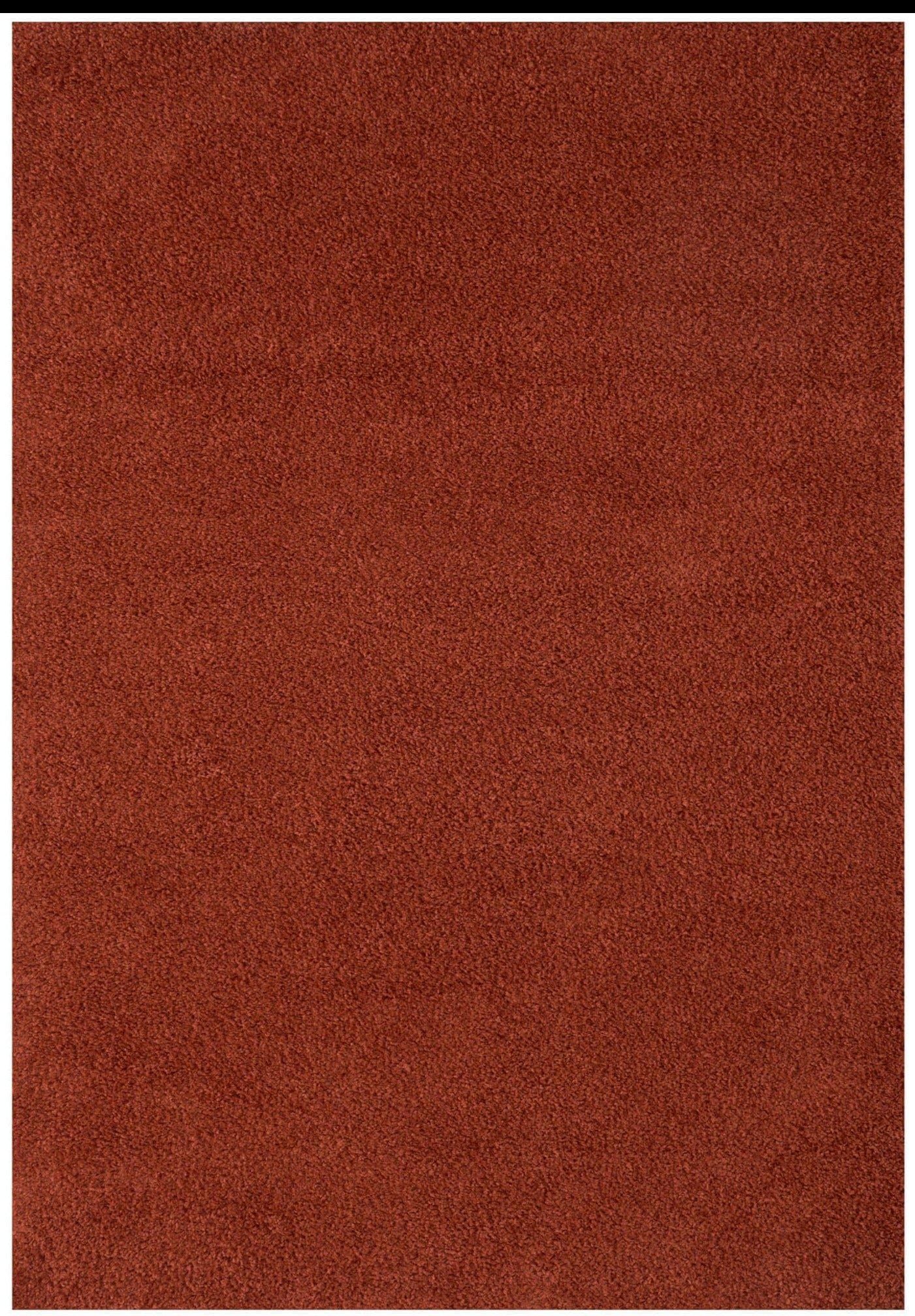 The Rugs Shaggy Rugs Living Room Rug - Soft Fluffy Thick Carpet For Bedrooms and Kitchen Easy To Clean Home Decor Rugs