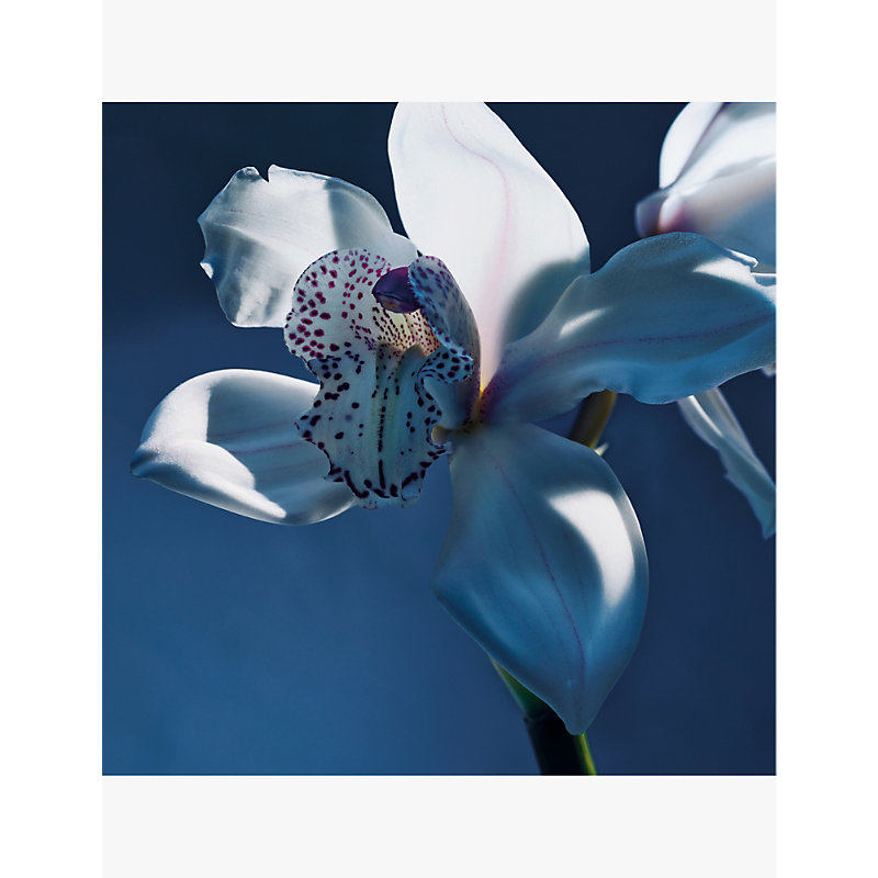 Atelier Des Fleurs Orchidée De Minuit Eau Parfum 50ml