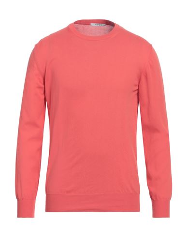 Man Sweater Coral