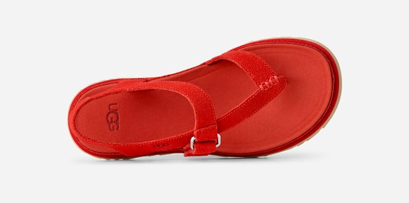 ® Women's GoldenGaze Toe Post Suede Sandals in Red Pepper