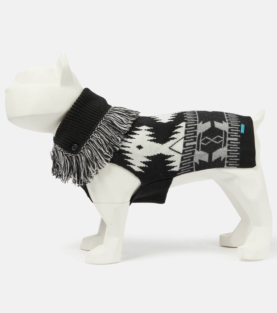 Alanui x Poldo Dog Couture Icon dog sweater