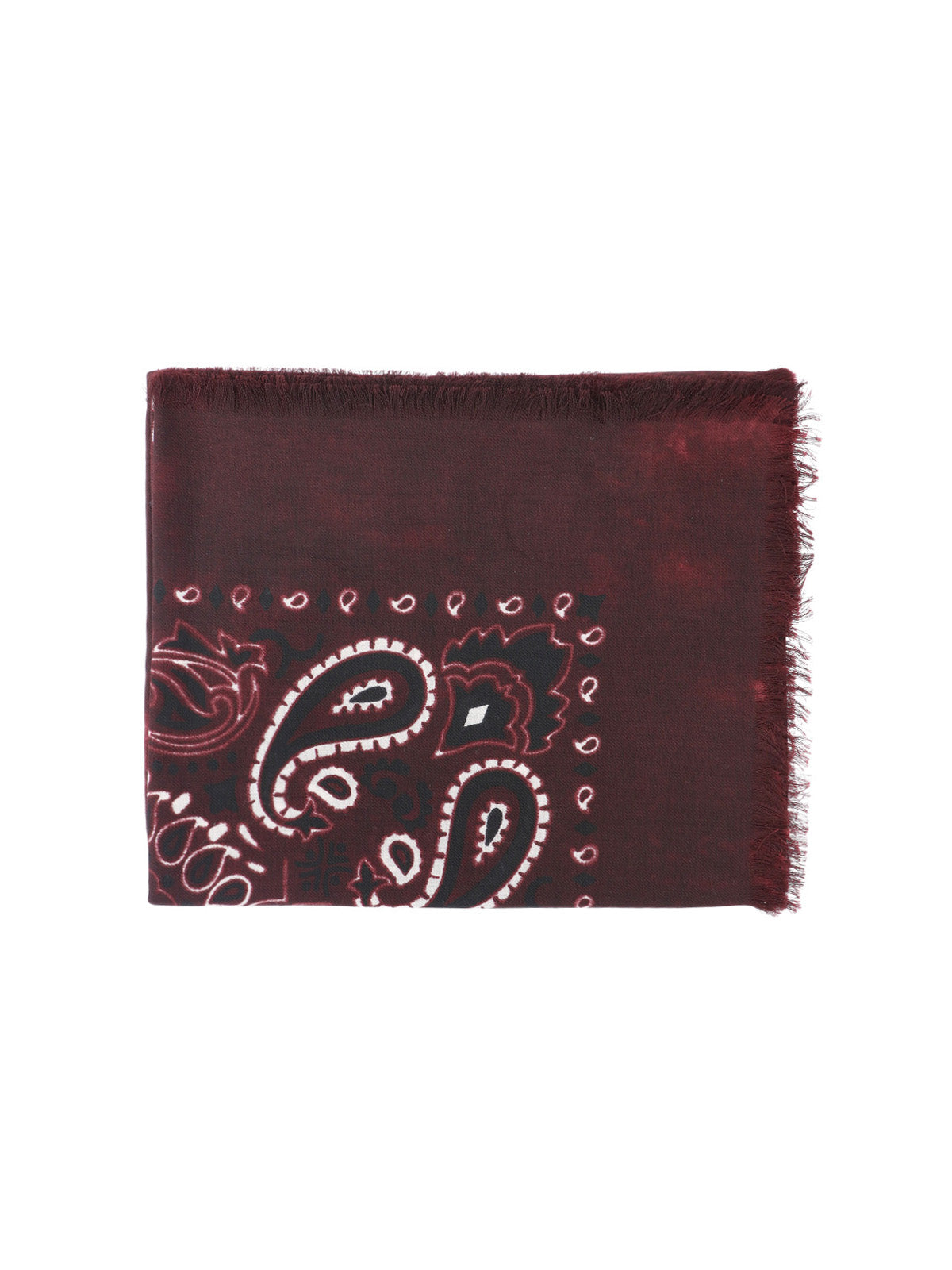Paisley Fringe Scarf