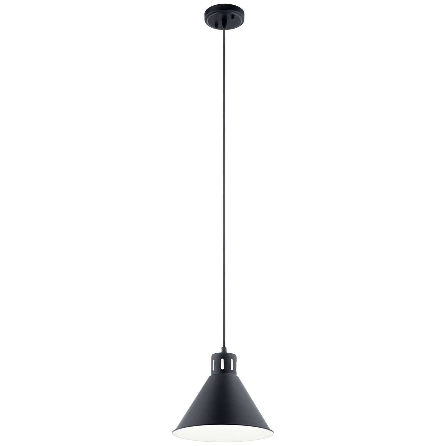 Zailey 11" Pendant Light in Black