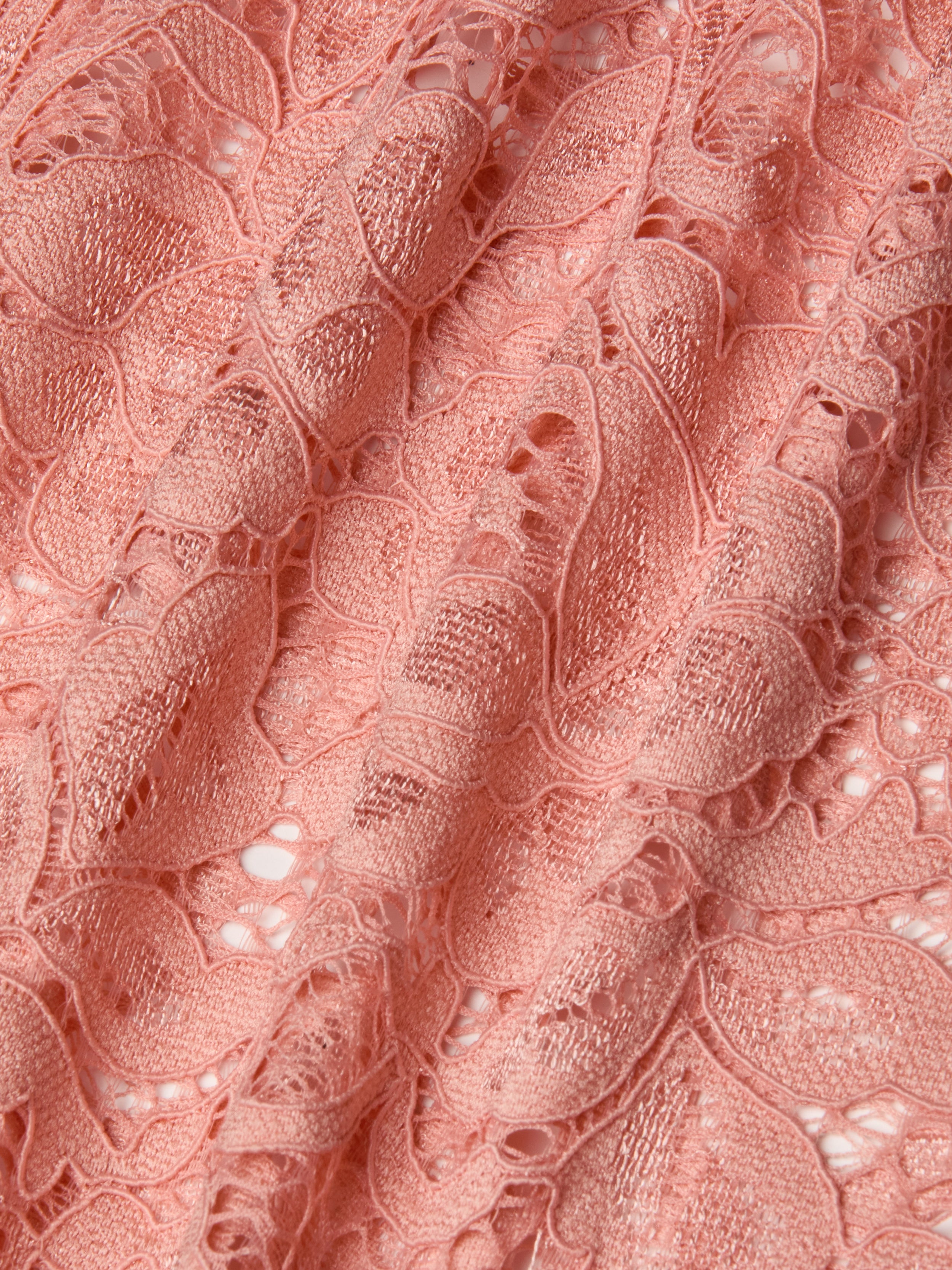 Tavia Lace Trouser In Parfait
