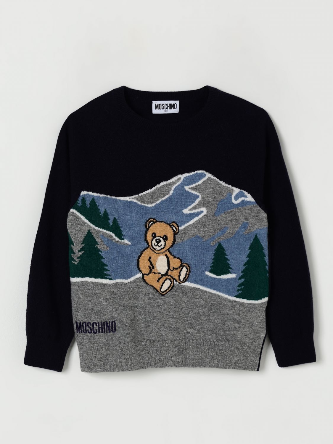 Sweater Kids color Blue