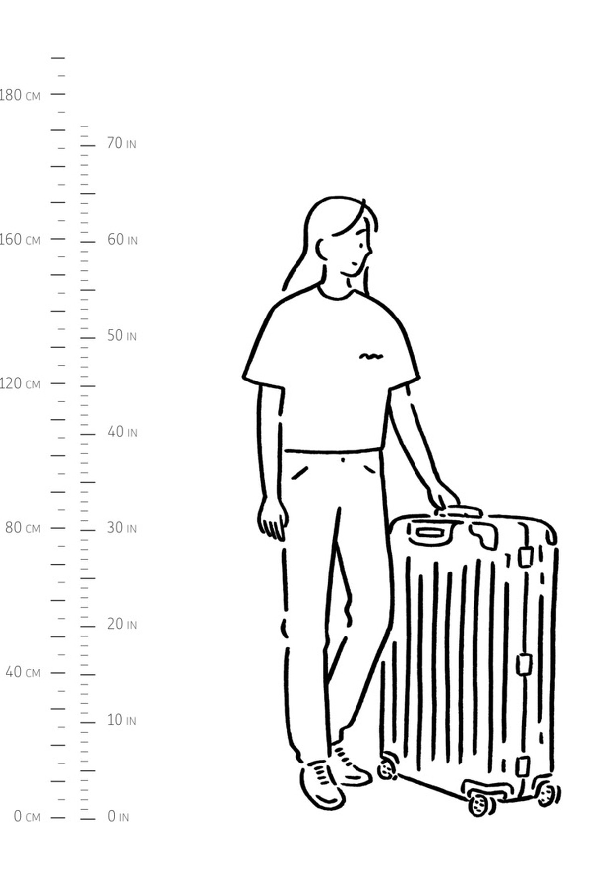 Original Check-In L suitcase
