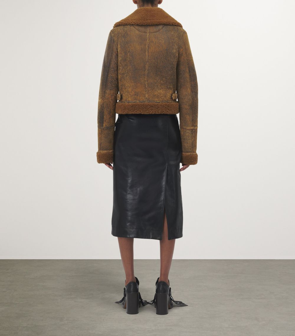 Leather Shearling Aviator Jacket
