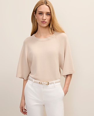Ann Taylor Raglan Crew Neck Sweater