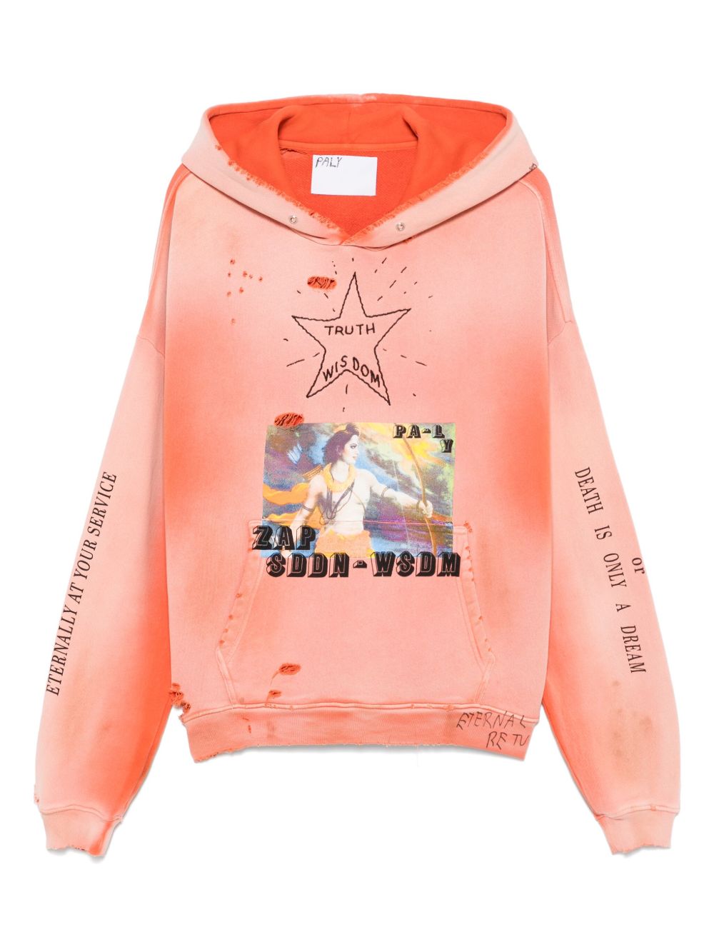 SDDN WSDM hoodie - Orange