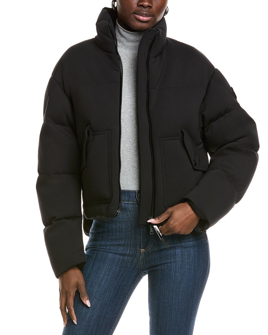 Chestnut Jacket
