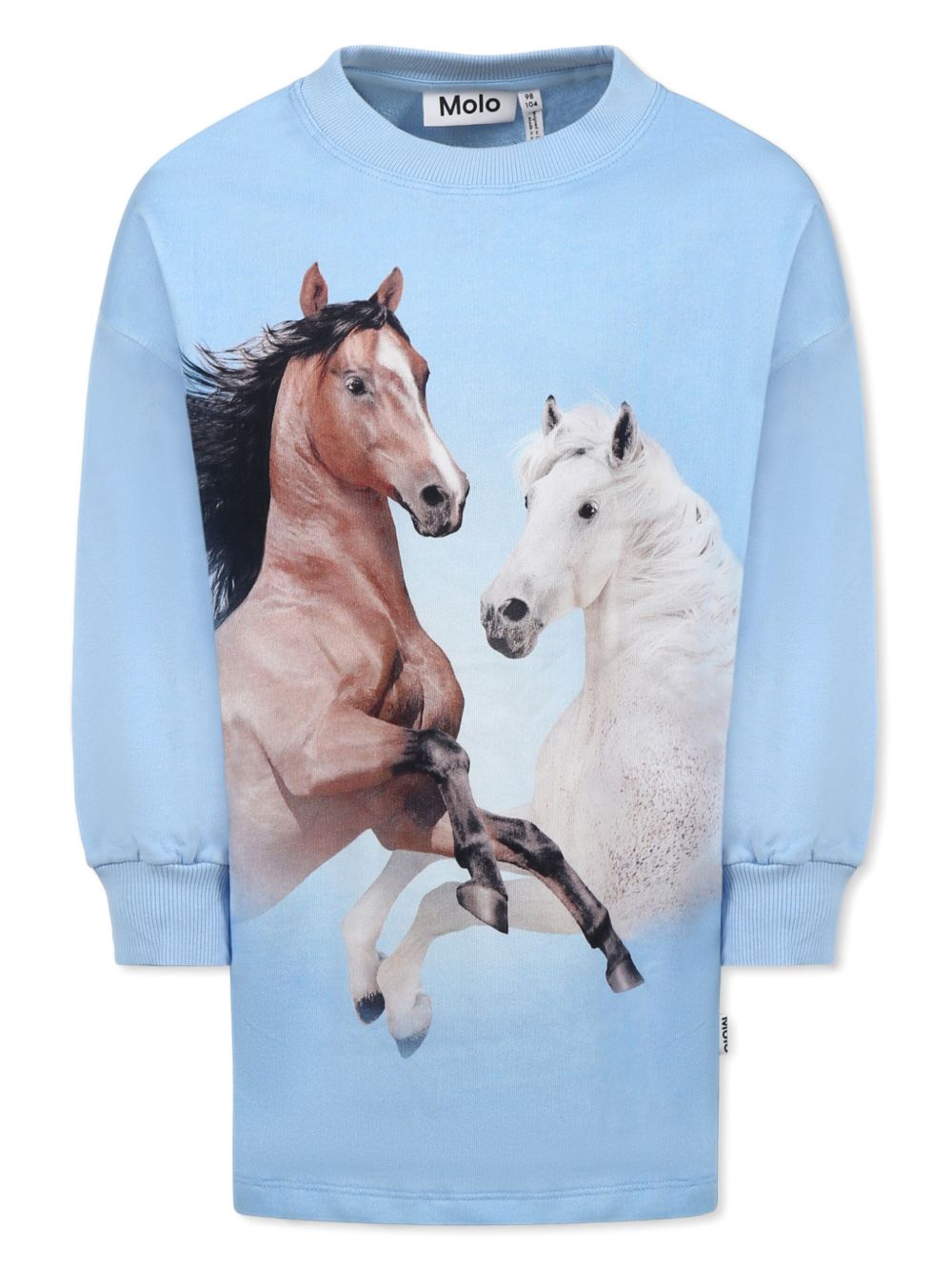 Girls Blue Cotton Sweatshirt Dress