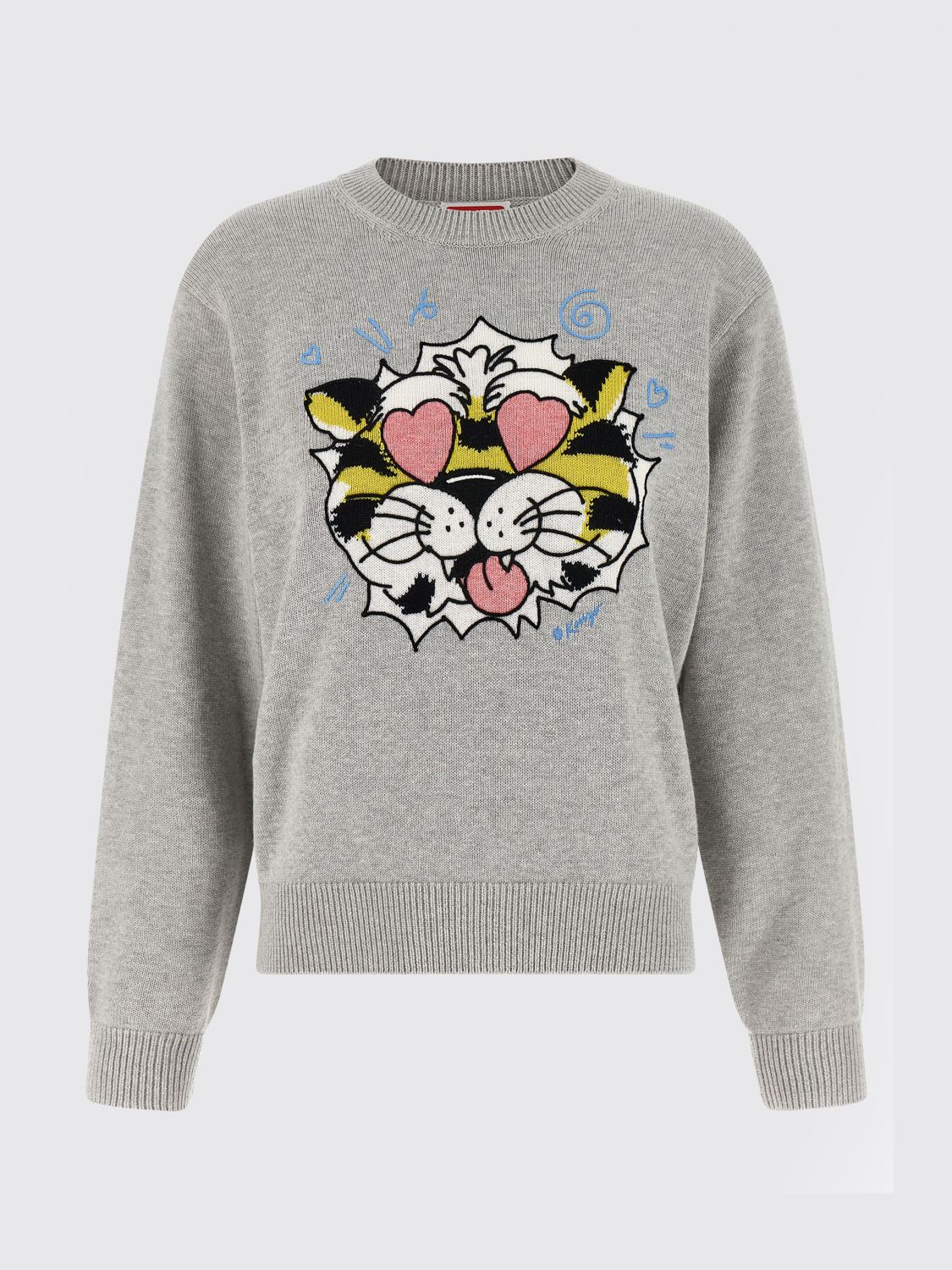 Sweater Woman color Grey