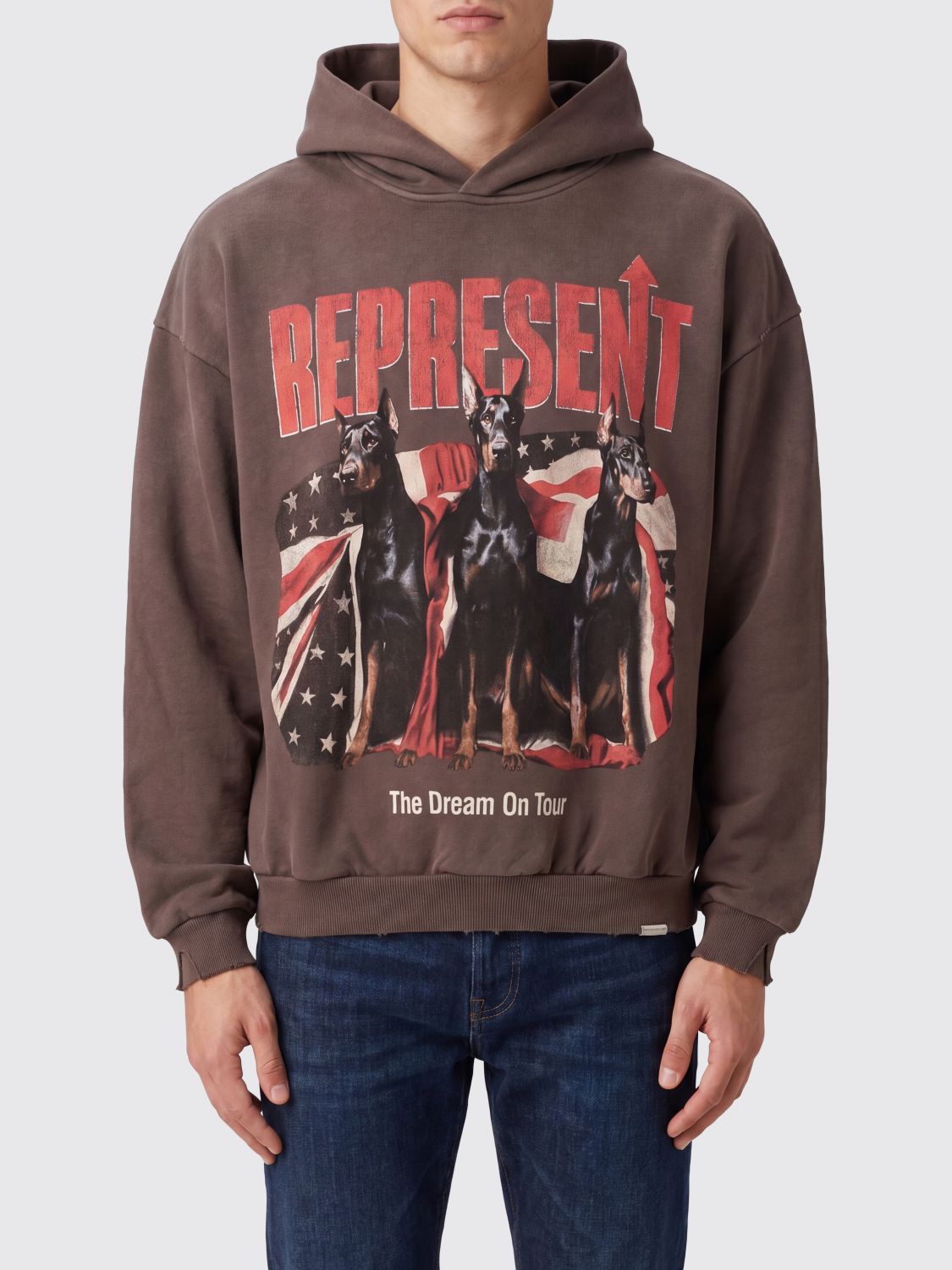 Sweatshirt Men color Grey
