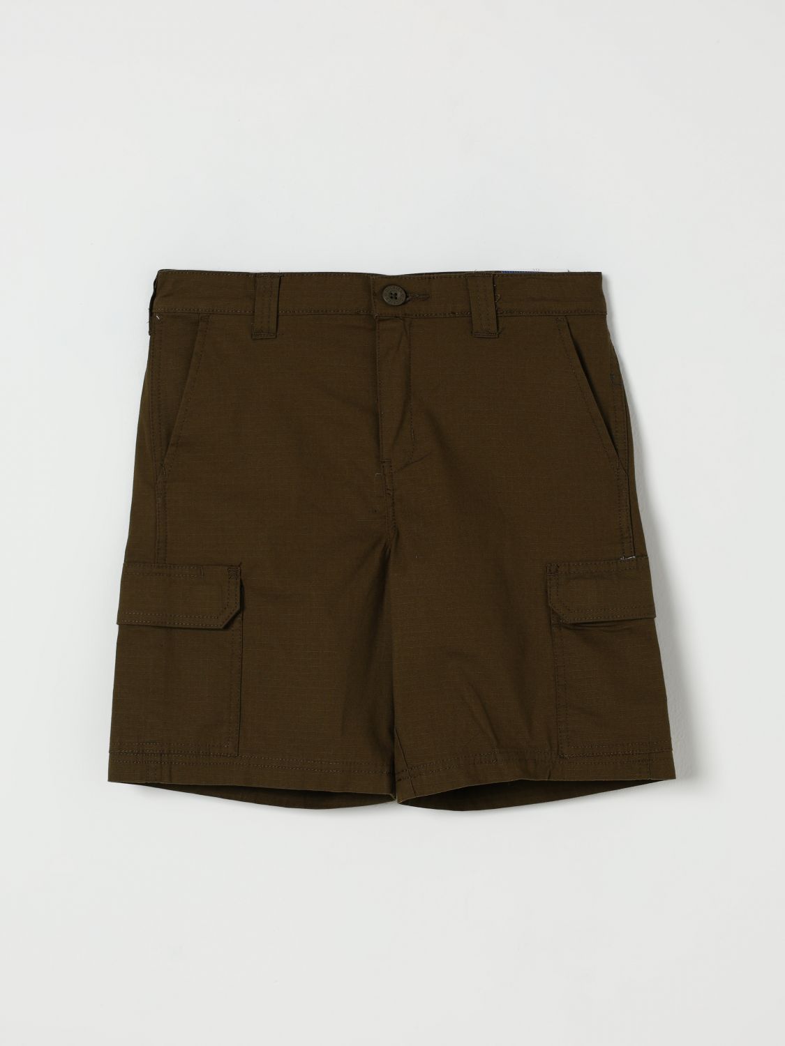 Underwear Kids color Green