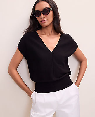 Ann Taylor Petite V-Neck Sweater