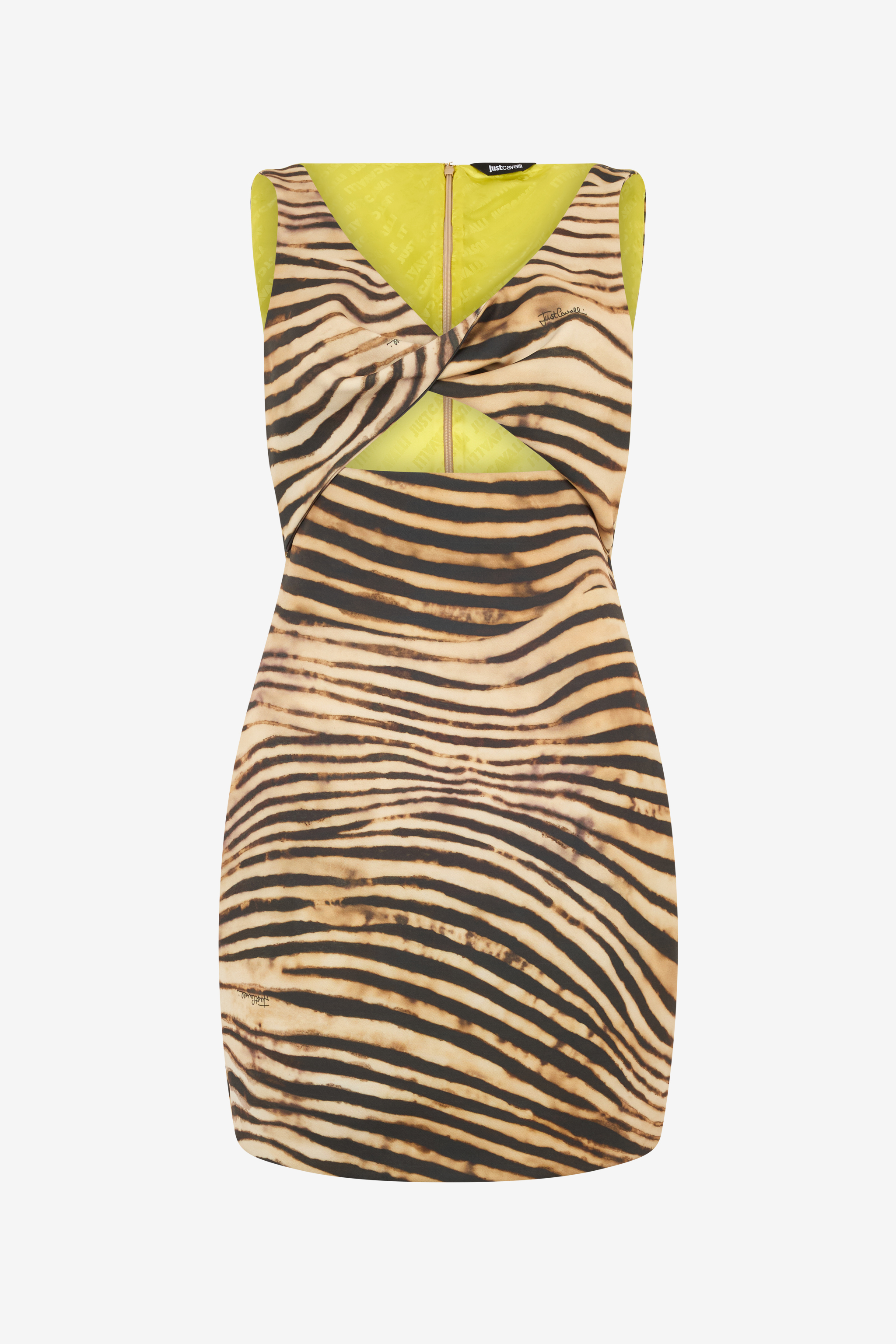 Mini Dress With Tiger Skin Print