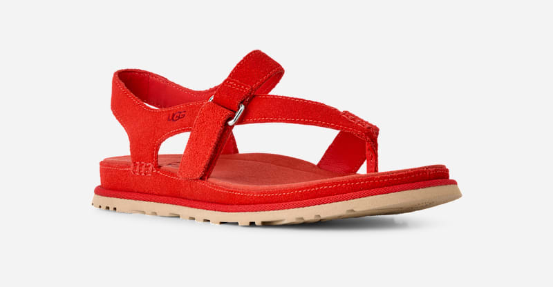 ® Women's GoldenGaze Toe Post Suede Sandals in Red Pepper