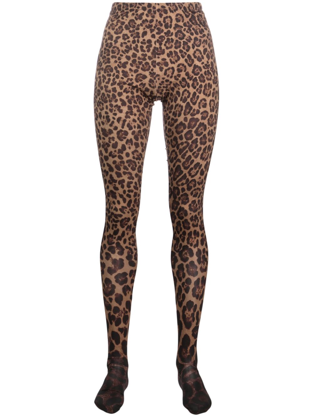 Leopard-print tights - Brown