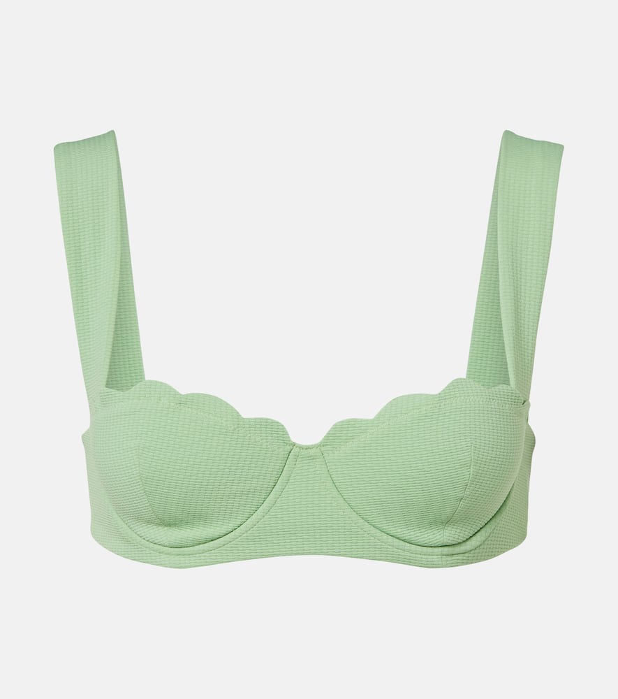 North scalloped bikini top