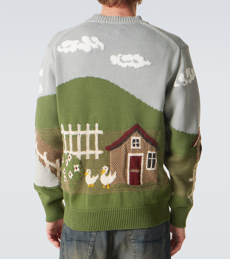 Intarsia cotton and wool sweater