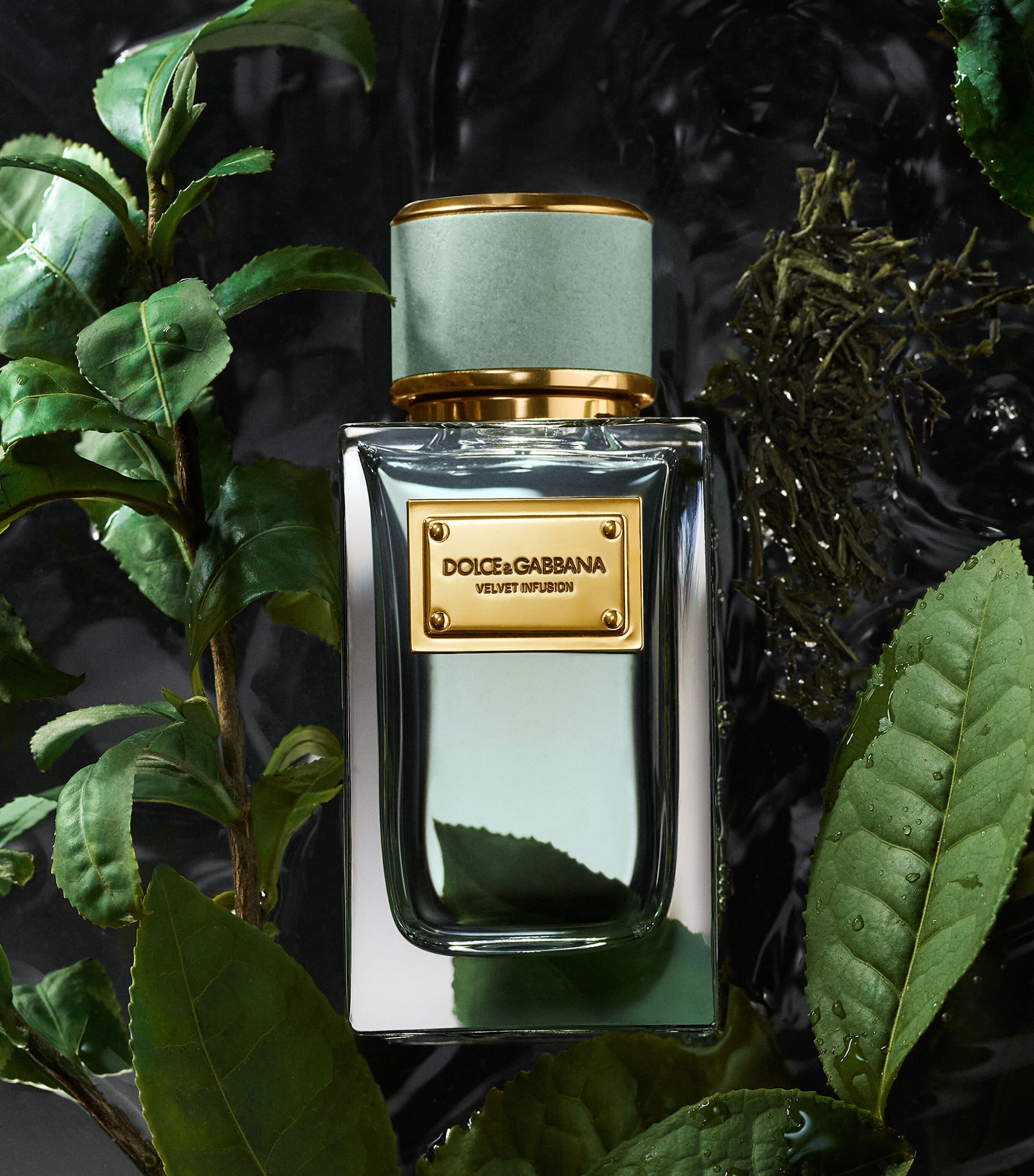 Velvet Infusion Eau de Parfum